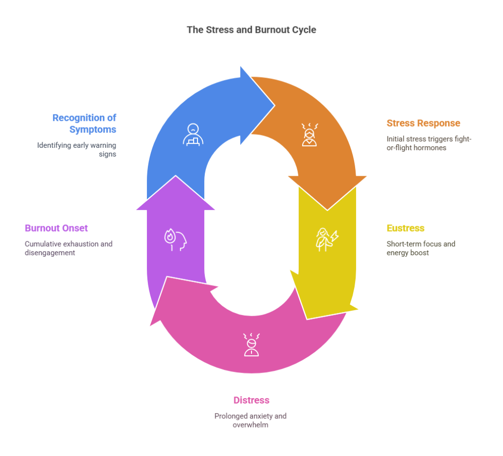 Managing Stress and the Burn Out Cycle